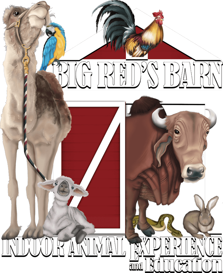 Big Red's Barn logo