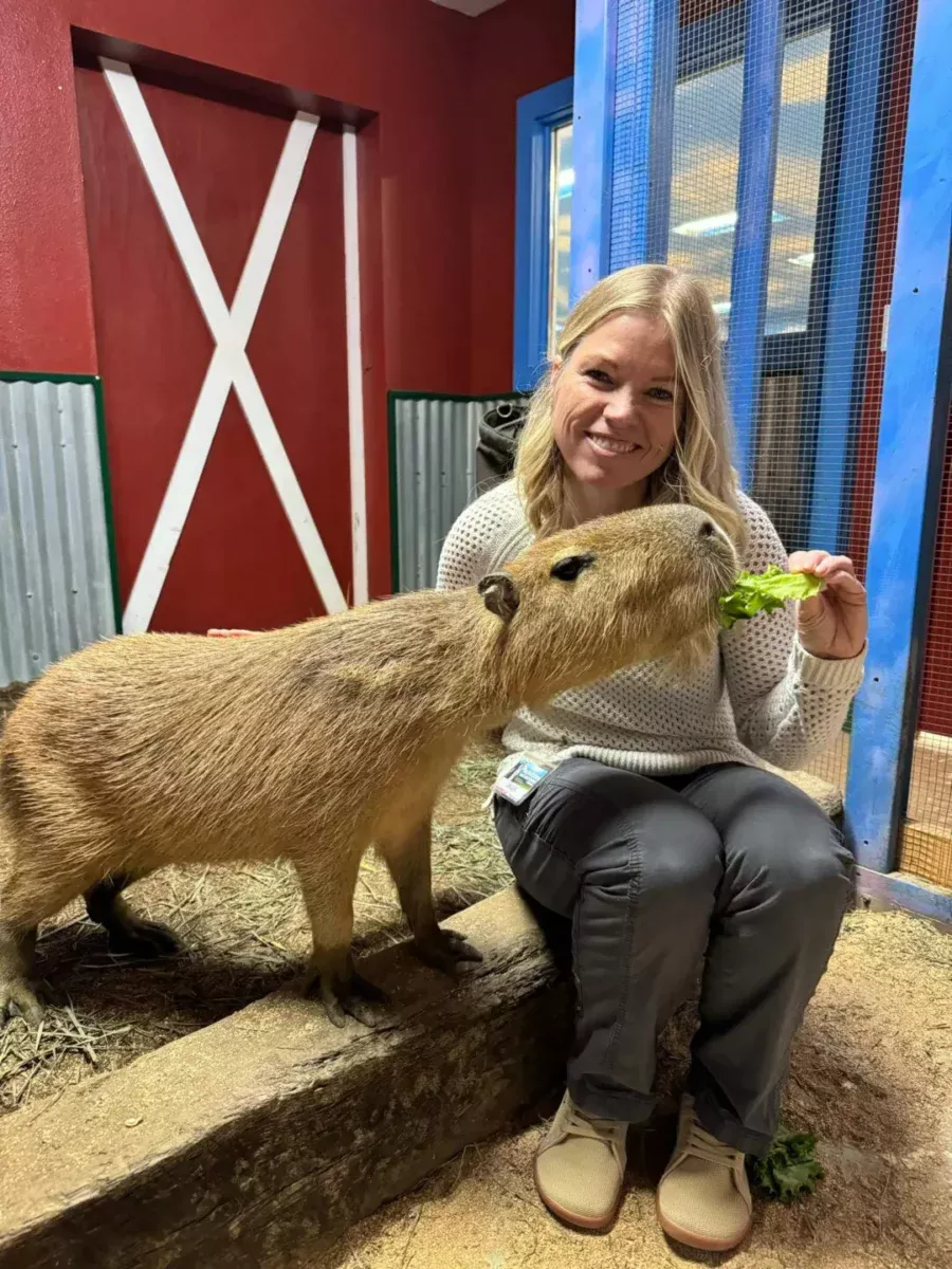 Capybara Private Encounter - $50/Person - Image 2